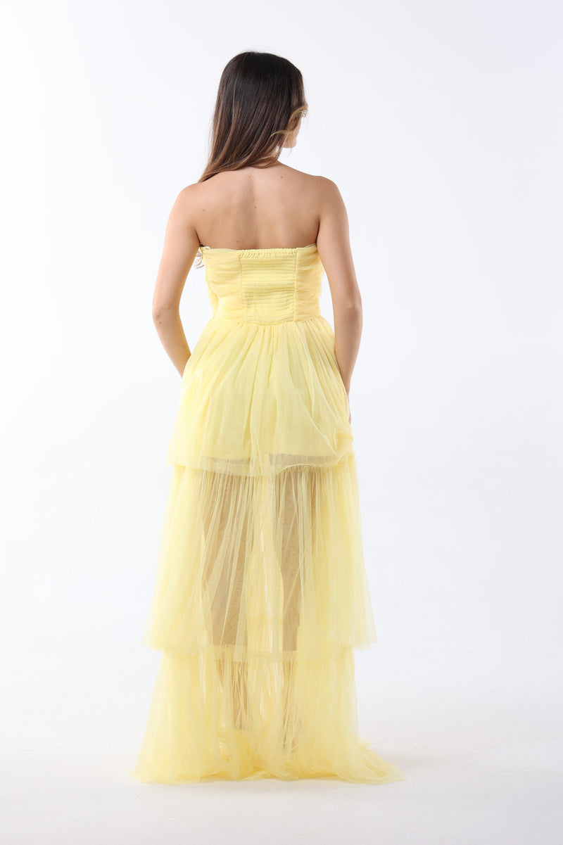 Tulle Layered Maxi Dress